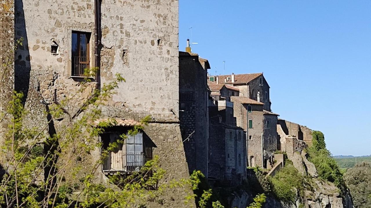 Appartement La Chascona Di Farnese Casa Di Tufo Nel Borgo Extérieur photo