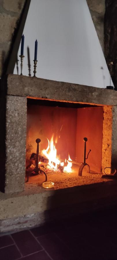 Appartement La Chascona Di Farnese Casa Di Tufo Nel Borgo Extérieur photo
