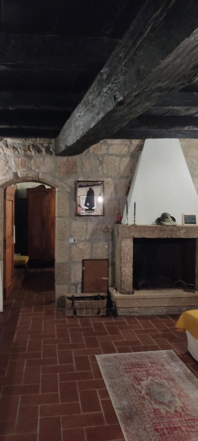 Appartement La Chascona Di Farnese Casa Di Tufo Nel Borgo Extérieur photo