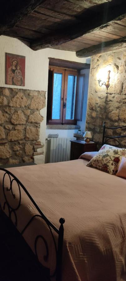 Appartement La Chascona Di Farnese Casa Di Tufo Nel Borgo Extérieur photo