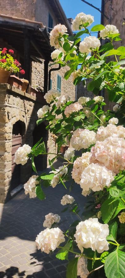 Appartement La Chascona Di Farnese Casa Di Tufo Nel Borgo Extérieur photo