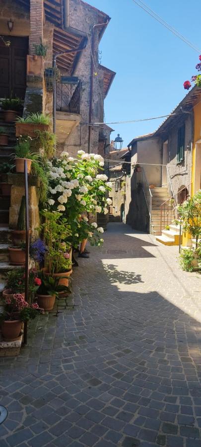Appartement La Chascona Di Farnese Casa Di Tufo Nel Borgo Extérieur photo