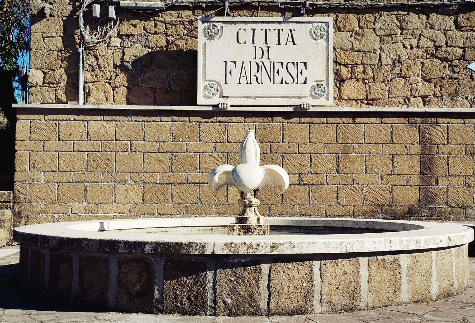 Appartement La Chascona Di Farnese Casa Di Tufo Nel Borgo Extérieur photo
